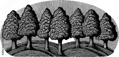 Spiral arrangement of circular tree crowns in a scenic meadow