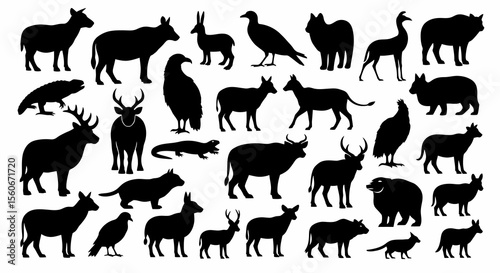 Collection of Black Silhouettes of Various African Animals