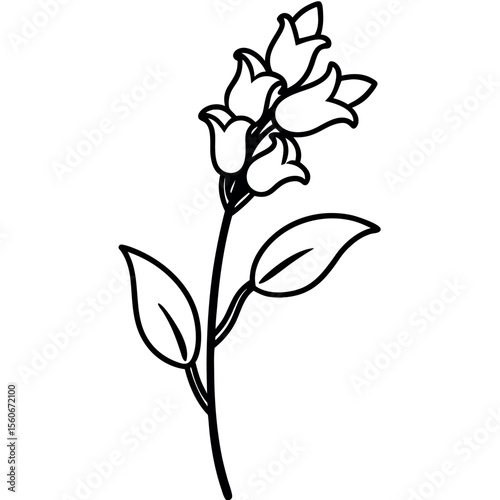 Snapdragon Stem Side View with Flower Buds Black Line Art