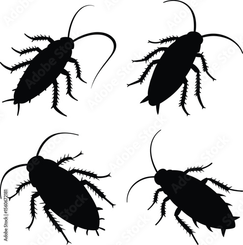 cockroach silhouette