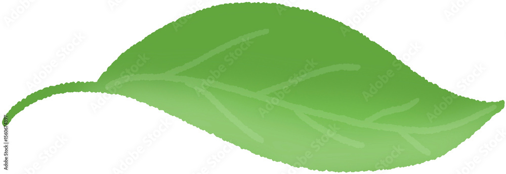 Fototapeta premium 열대 나뭇잎 일러스트_