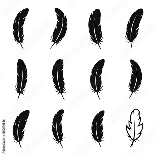 Black Feather Silhouettes Vector Set – Various Feather Shapes and Styles Icons