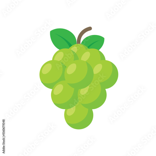 Vector illustration of bunch of green grapes