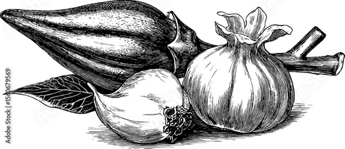 Vintage hand drawn okra and taro root illustration for label design and retro decor