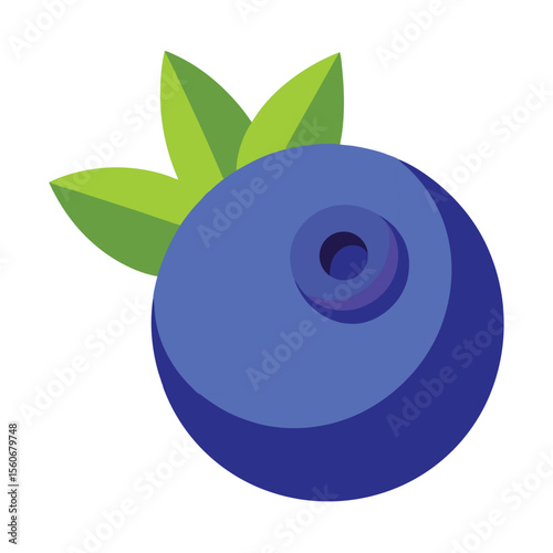 vector illustration of an blueberry