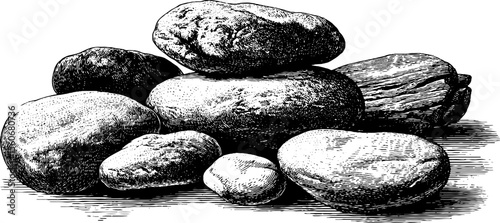Detailed hand drawn river stones and driftwood collection for natural design