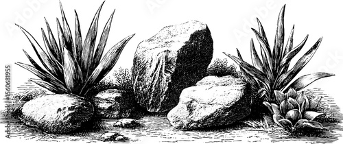 Vintage desert landscape with tumbleweed and rocks for nature illustration design