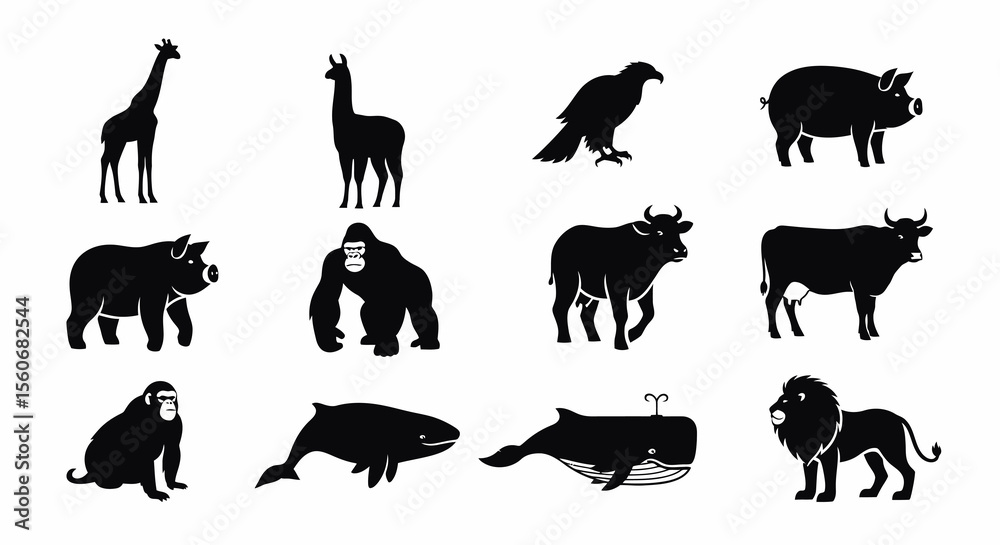 Fototapeta premium Majestic Black Silhouette of a Roaring Lion, Isolated on White