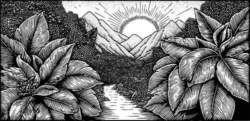 Steamy jungle trail with dense foliage in black and white, hand drawn