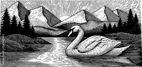 Tranquil swan gliding on serene pond in black and white landscape engraving