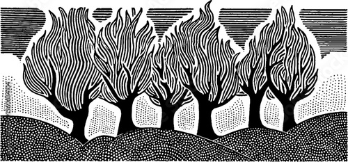 Wildfire engulfed trees silhouette against dark sky in vintage black and white art