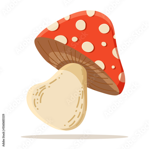 Autumn mushrooms. Fly agaric, toadstool. Mushroom with red cap and white dots.