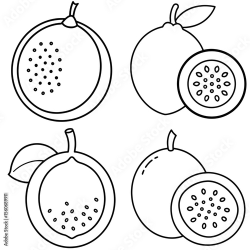 Passion Fruit Icon – Exotic Tropical Fruit Line Art, Outline Vector Illustration
