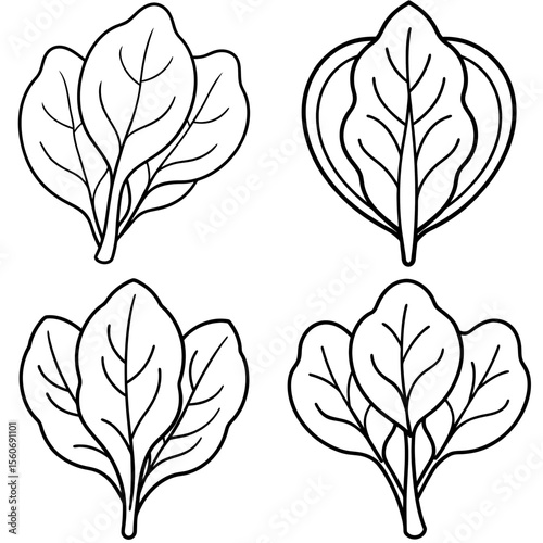 Spinach Leaves Icon – Healthy Green Line Art, Outline Vector Illustration