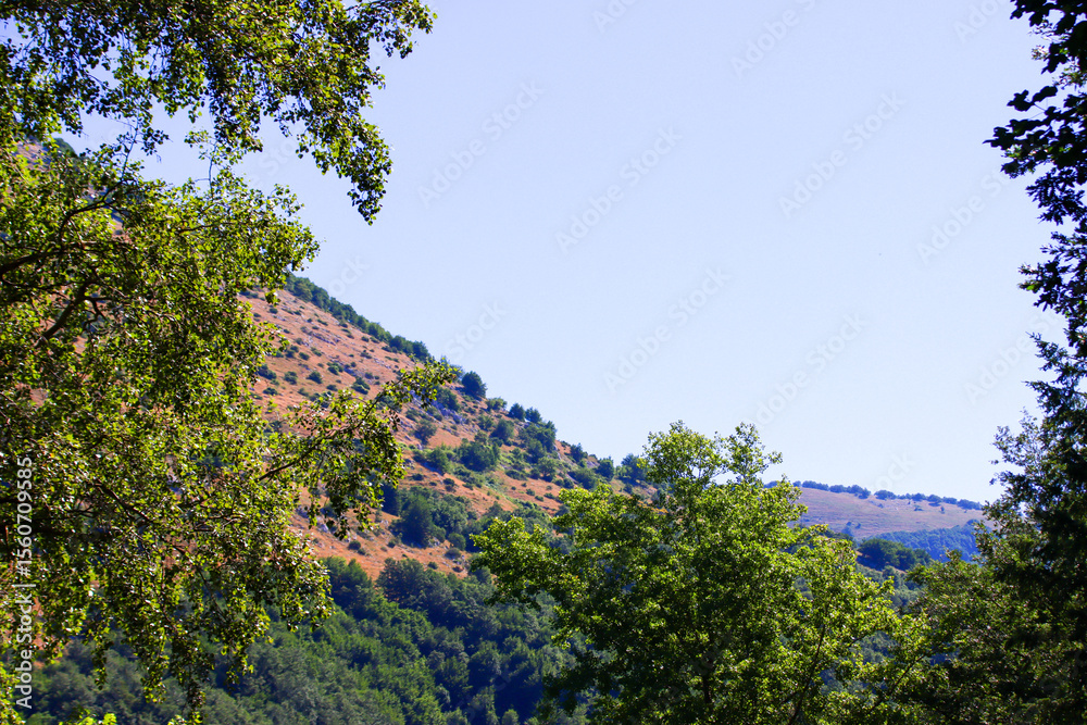 Obraz premium Scatti Vari