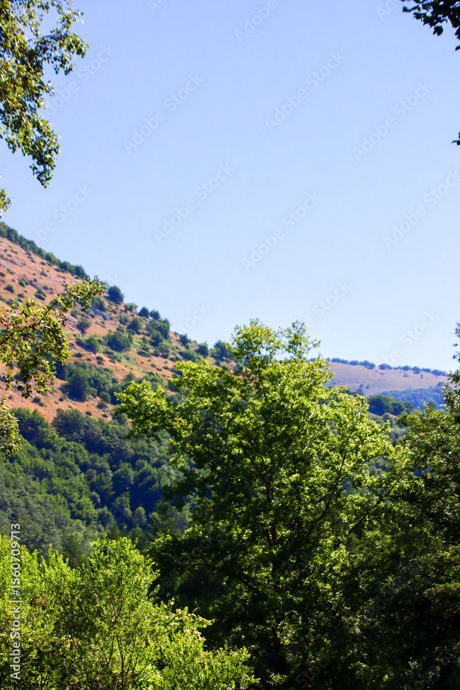 Obraz premium Scatti Vari