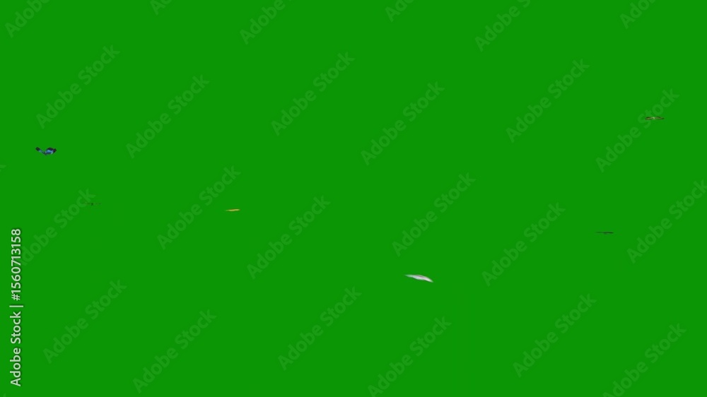  green screen bunch flowers balloons group kites flying in sky some small objects animated chromakey movement style elements creative