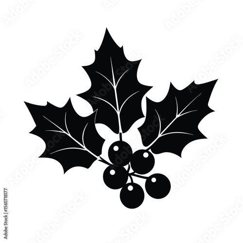 isolated-holly-berry-bundle-with-leaves--.eps