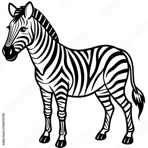 zebra vector illustration