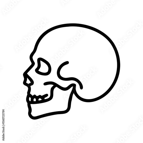 Side view of a human skull illustration in minimalist style  