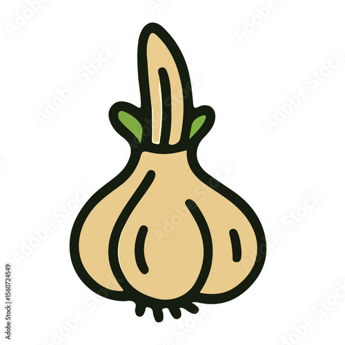 Isolated fresh garlic, healthy food illustration