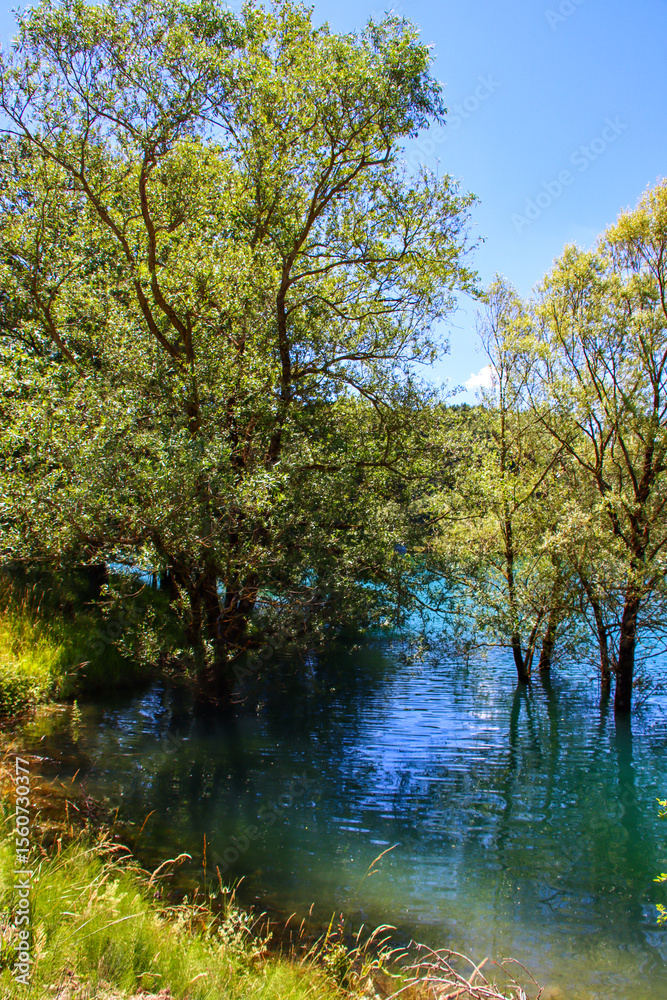 Obraz premium Scatti Vari