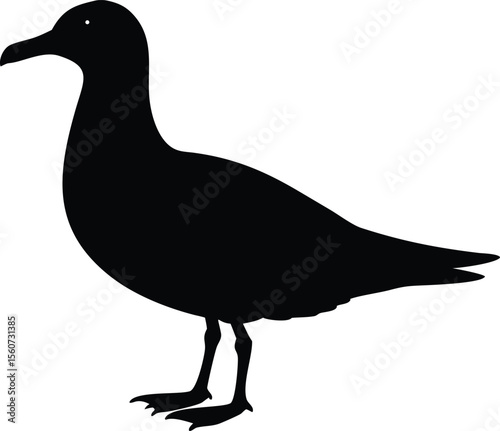Black silhouette illustration of a standing seagull isolated on a white background