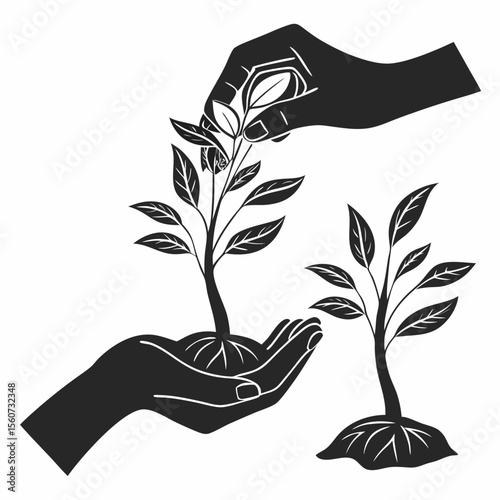 Two hands interacting with saplings in a monochrome illustration depicting growth and nurturing