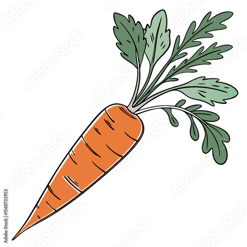 Carrot illustration, colorful design, vegetable art, no background