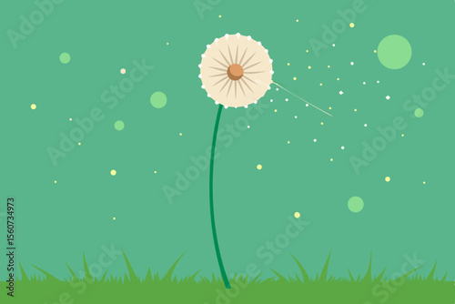 Dandelion Seed Head Blowing in the Wind on a Green Background