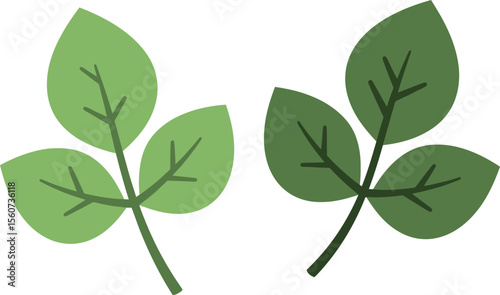 Green Three-Leaf Clover: Luck, Nature & Shamrock Icon