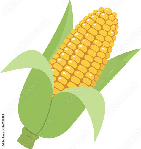 Fresh Yellow Corn Cob: Harvest, Farm & Organic Food Icon

