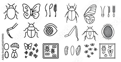 Collection of insect drawings, including a butterfly, a bug, and a bee. The drawings are all in black and white and are arranged in a grid. Scene is one of curiosity