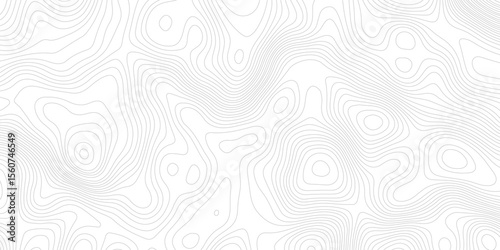 Abstract topography pattern lines sea map area space geometric strip grid line topo map technology modern design white background.	