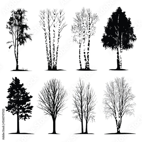birch tree silhouette set, Black & White silhouette set