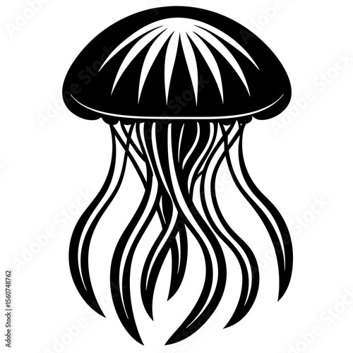 vector illustration of mushrooms
