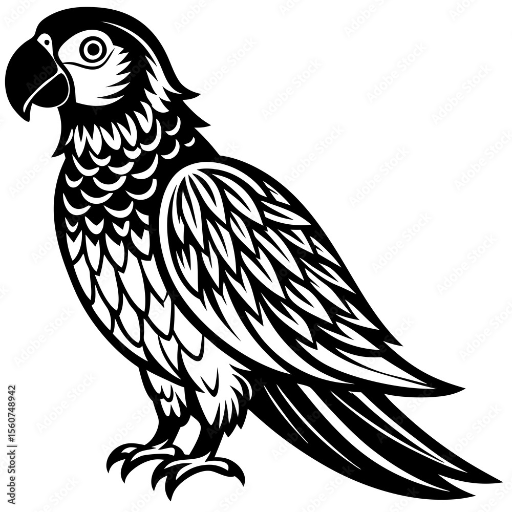 Obraz premium vector drawing of a bird