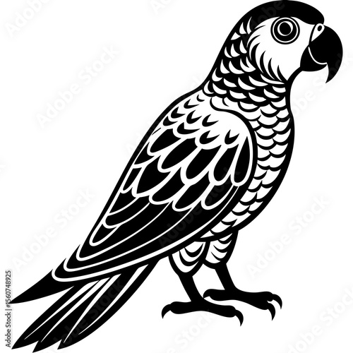 parrot on a branch