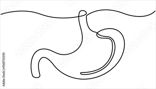 Stomach continuous one line drawing illustration. Single line drawing stomach icon. single line of stomach drawing. illustration of stomachache concept. 