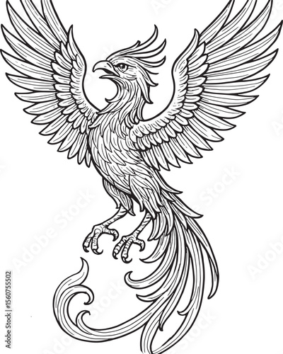 Majestic Black And White Phoenix Bird Illustration Detailed Wings Feathers Tail Elegant Design Graphic Art