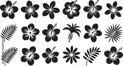 Sixteen Bold Black Tropical Flower Silhouettes Including Hibiscus and Palm Fronds on White Background 1