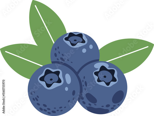 Fresh Blueberries with Leaves: Superfood Berries & Antioxidants