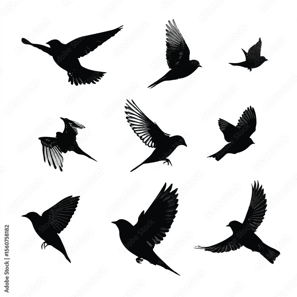 Obraz premium bird in flight silhouette set, Black & White silhouette set