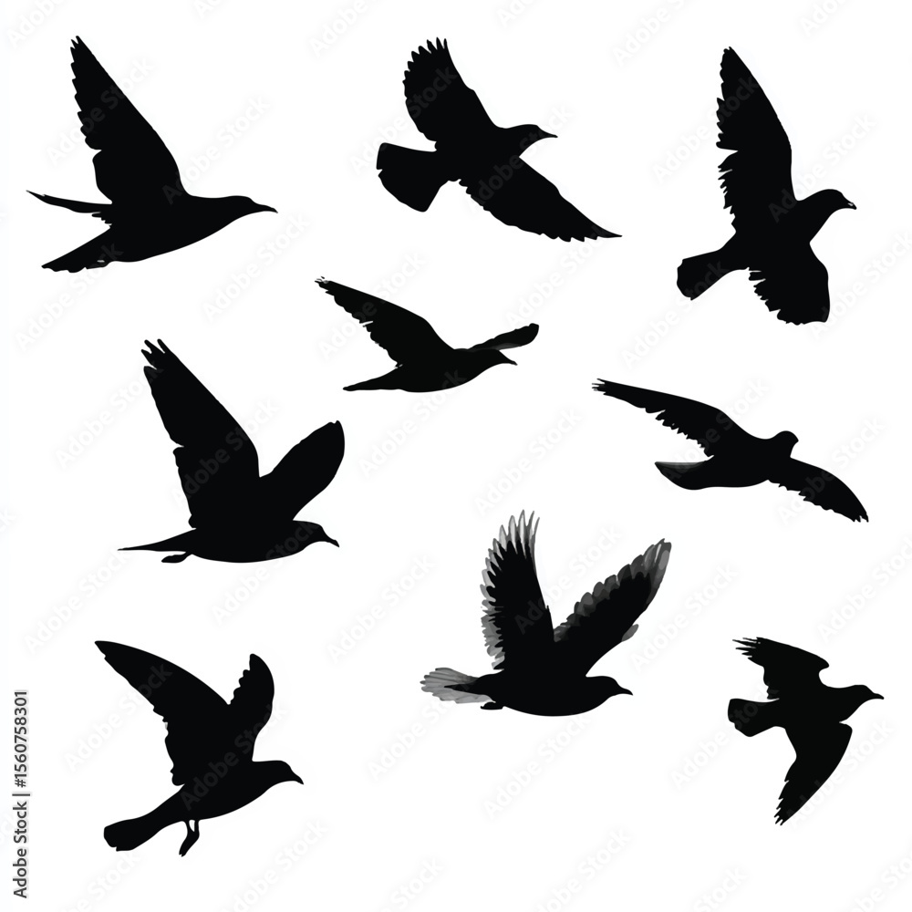 Obraz premium bird in flight silhouette set, Black & White silhouette set