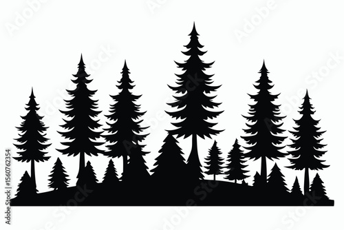 Silhouetted evergreen trees forest winter landscape nature