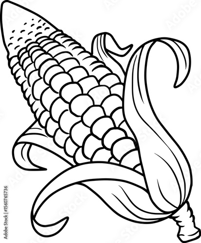 corn line vector illustration isolated on white background