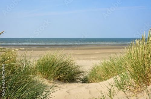 Belgian Coast: Sandy dunes with sparse grass, leading to the sea.