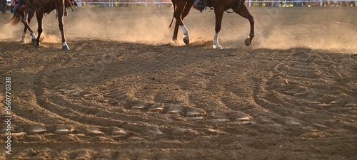 Rodeo Horse