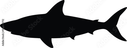 Silhouette of a great white shark illustrating ocean life and marine wildlife on white background