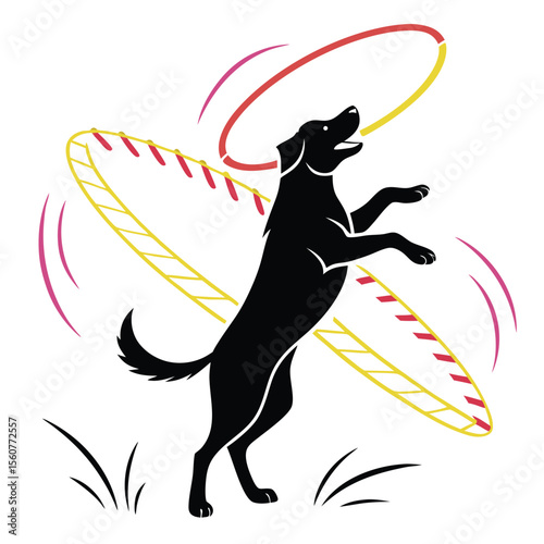Amazing Dog Performing Tricks with Hoops Canine Agility and Fun